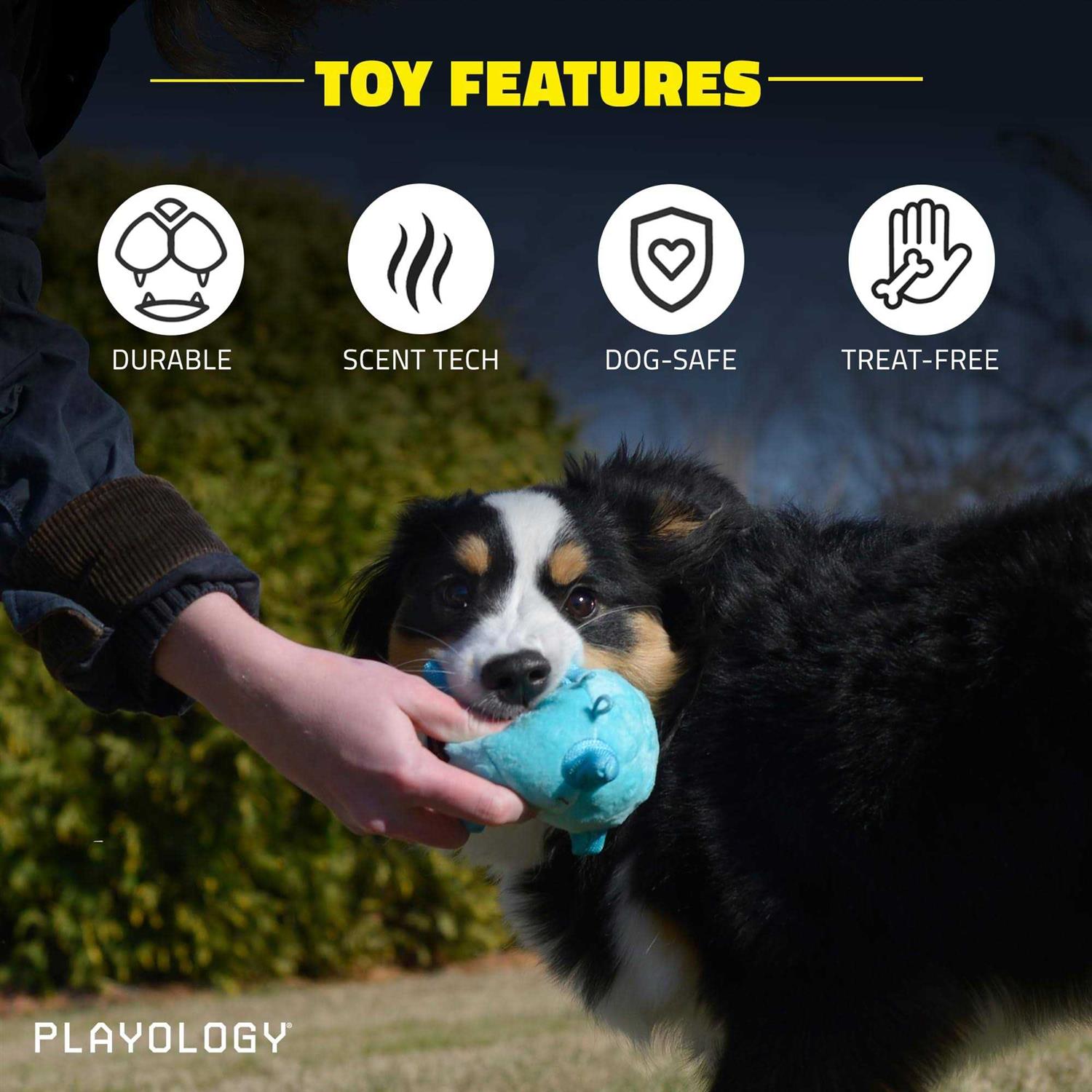 Playology Puppy Sensory Ball Dog Toy