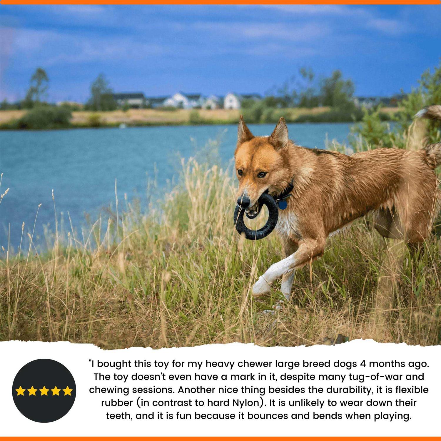 Monster K9 Ultra Durable Chew Dog Toy