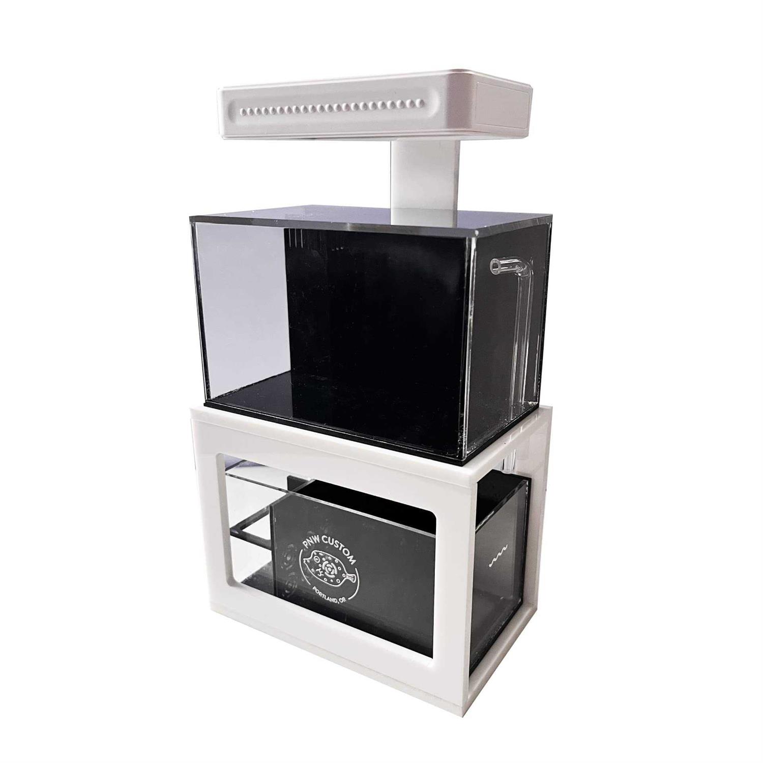 PNW Custom Micro Reef-Ready 40oz Desktop Aquarium