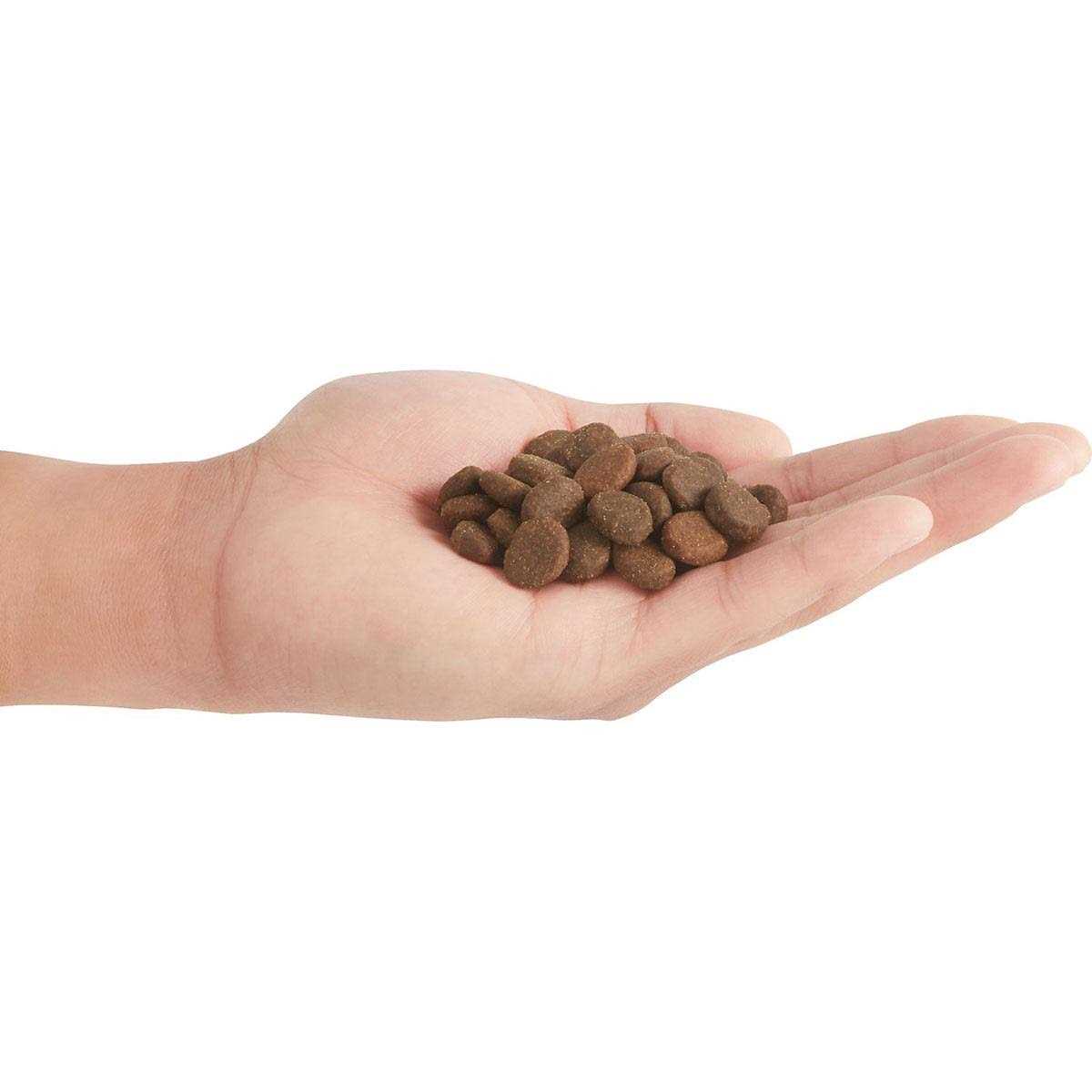 Orijen Regional Red Dry Dog Food