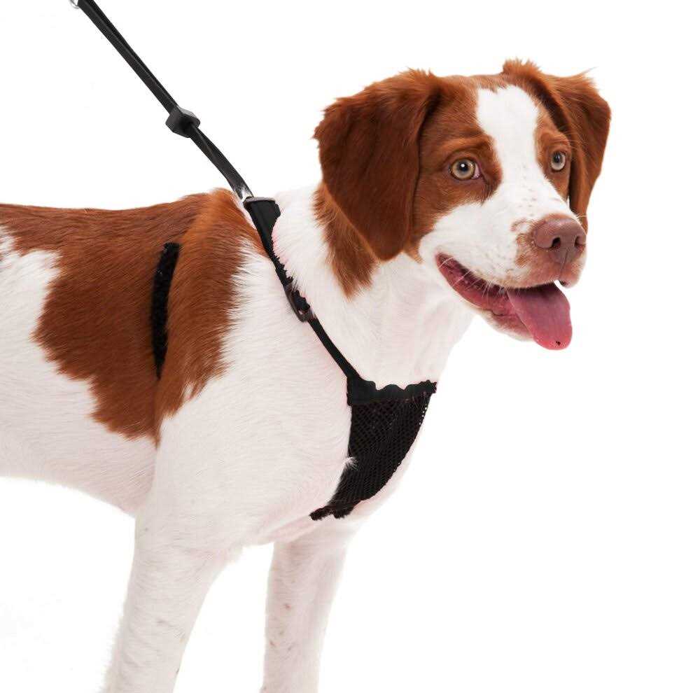 Sporn Mesh Non Pull Dog Harness