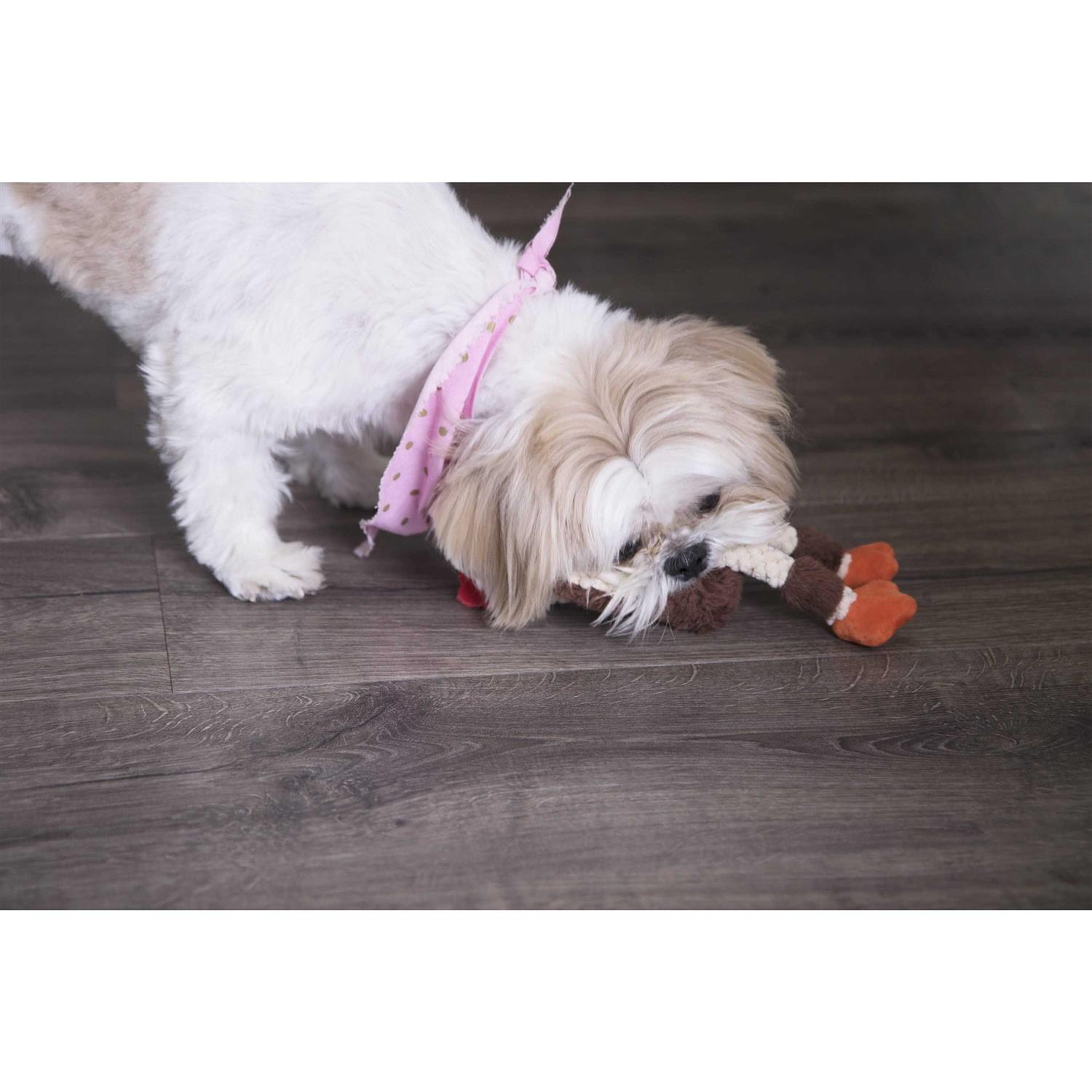 goDog Checkers Chew Guard Skinny Rooster Dog Toy