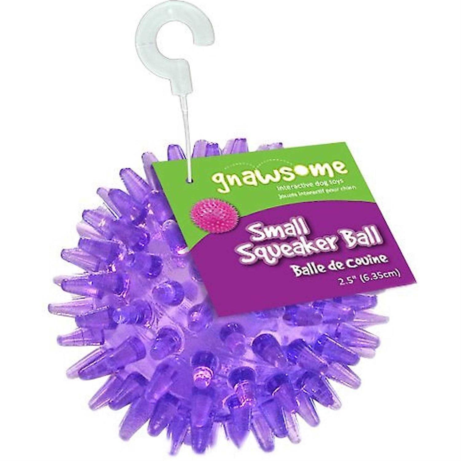 Gnawsome Squeaker Ball Dog Toy