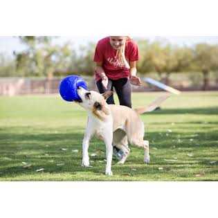 Jolly Pets Soccer Ball