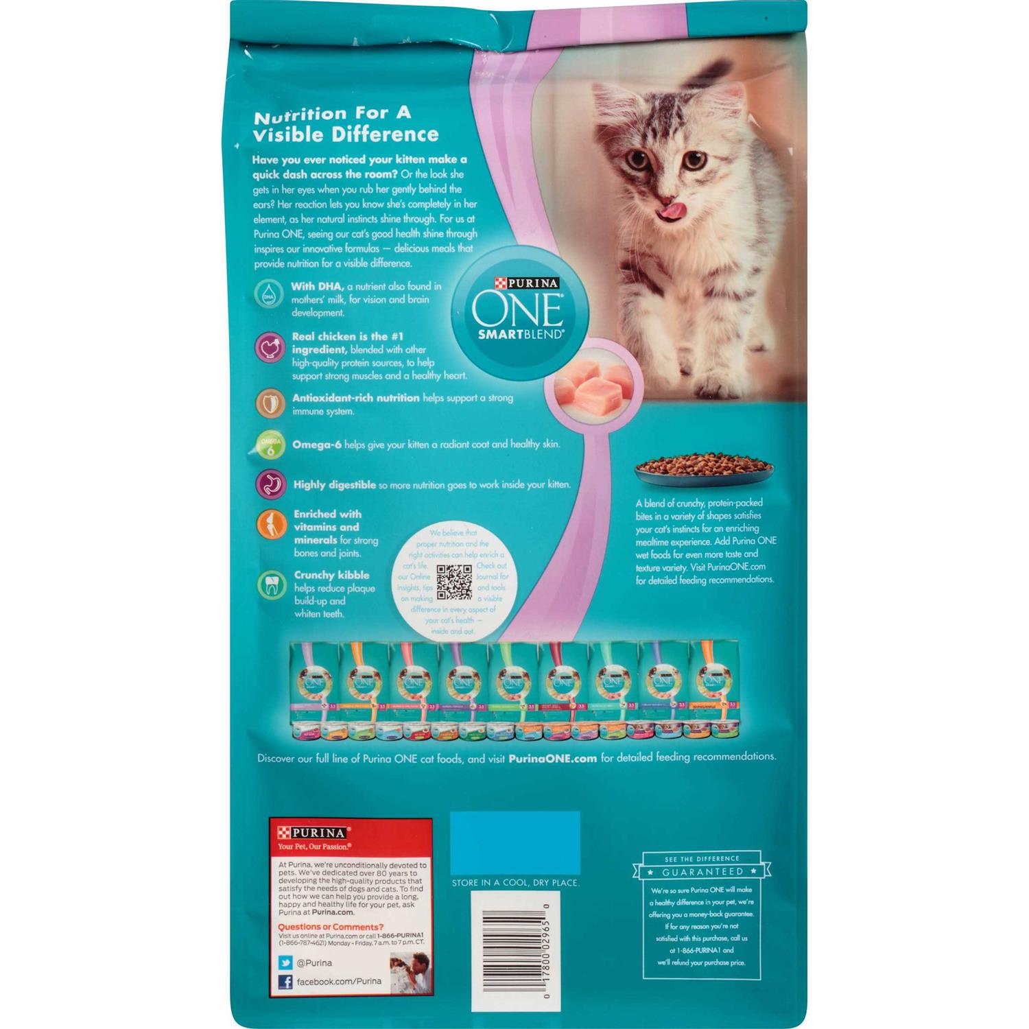 Purina ONE Kitten Dry Food