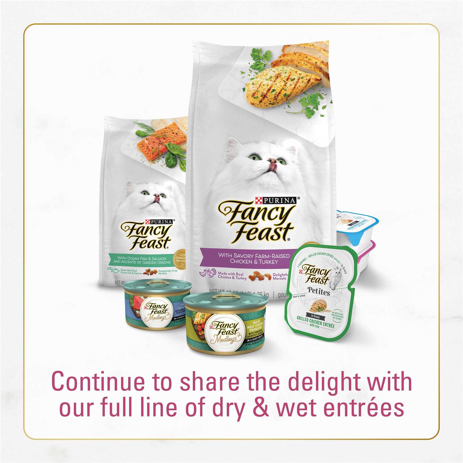 Fancy Feast Dry Cat Food Filet Mignon Flavor with Seafood & Shrimp