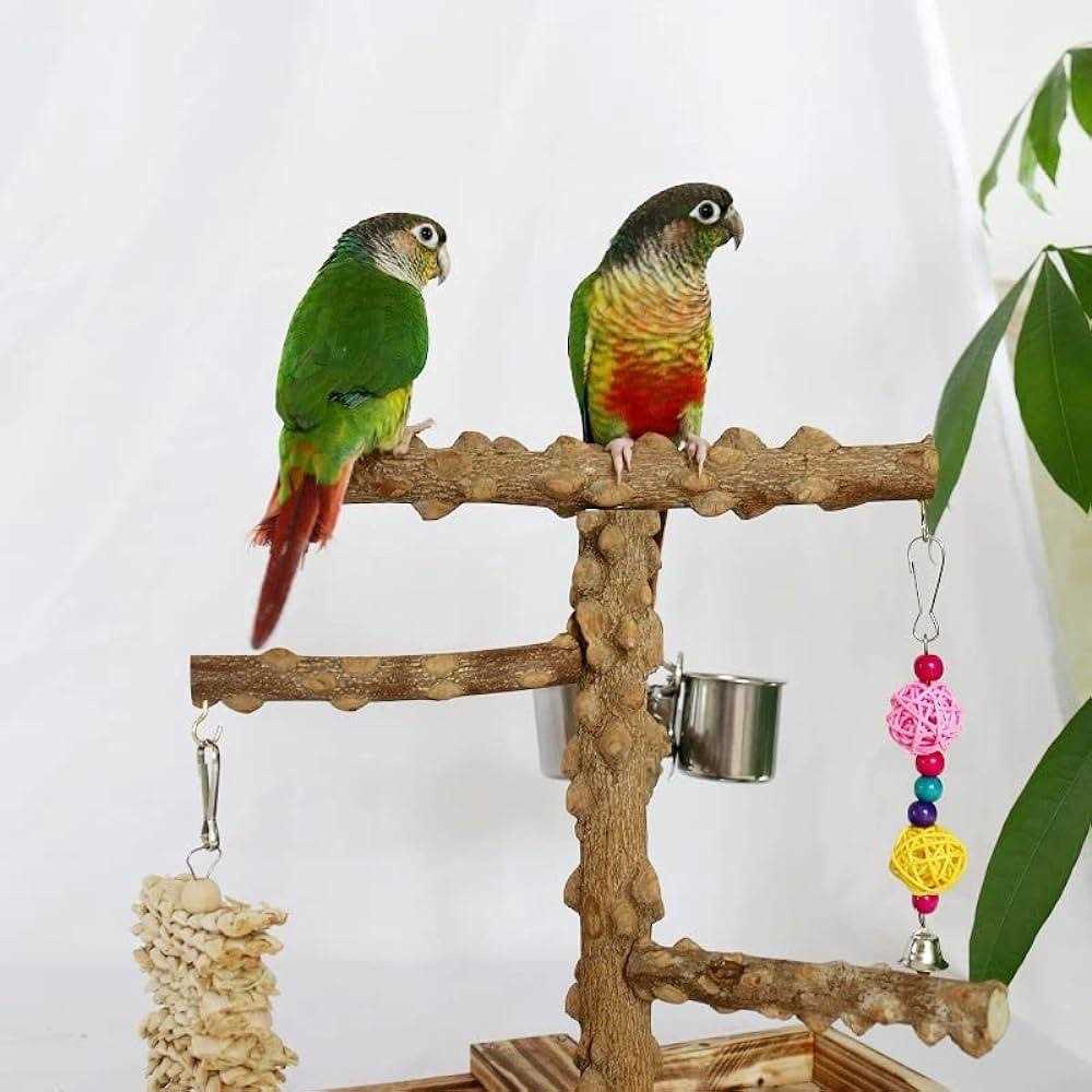 Bird Perch Platform Stand,Wood Perch Bird Platform Parrot Stand Playground Cage Accessories for Small Anminals Rat Hamster Gerbil Rat Mouse Lovebird
