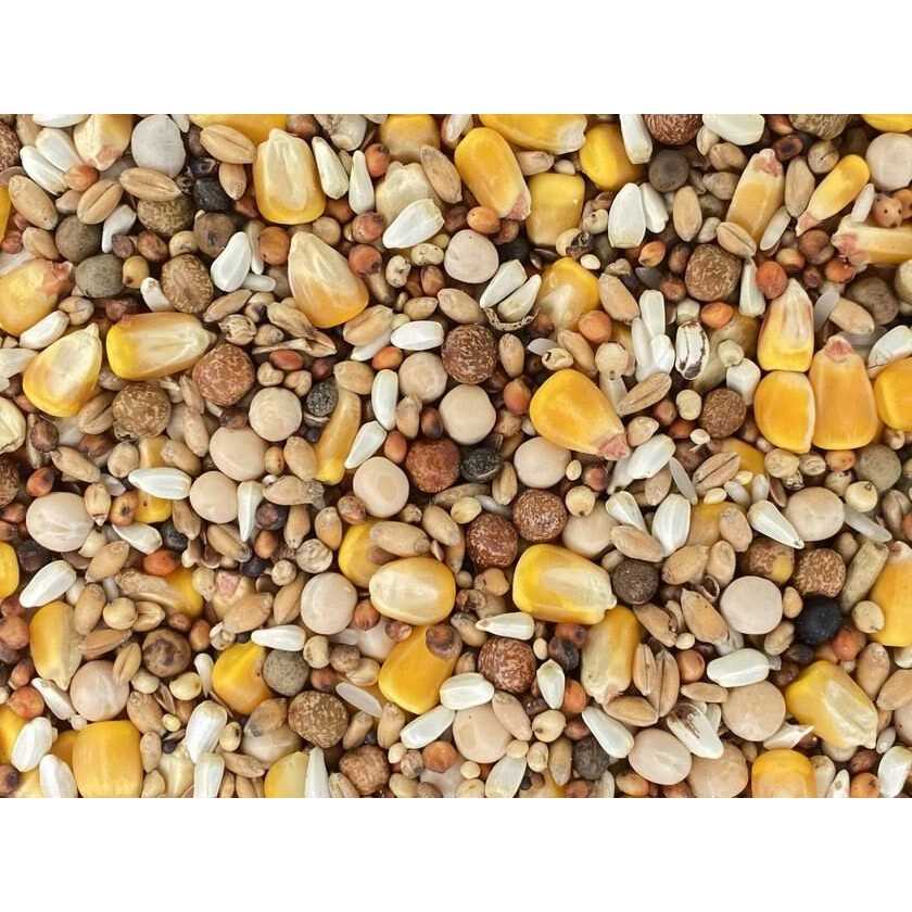 Versele-Laga Classic Racing Pigeon Foods Blends 50lbs