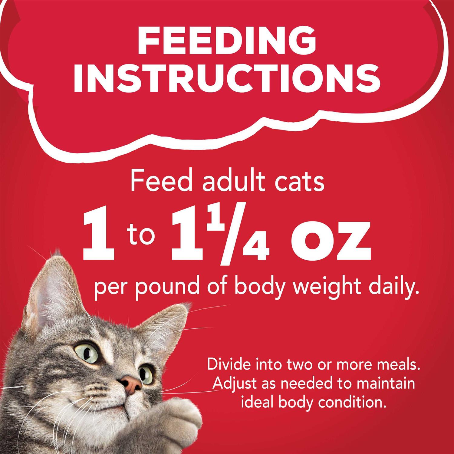 Purina Friskies Prime Filets Beef Wet Cat Food