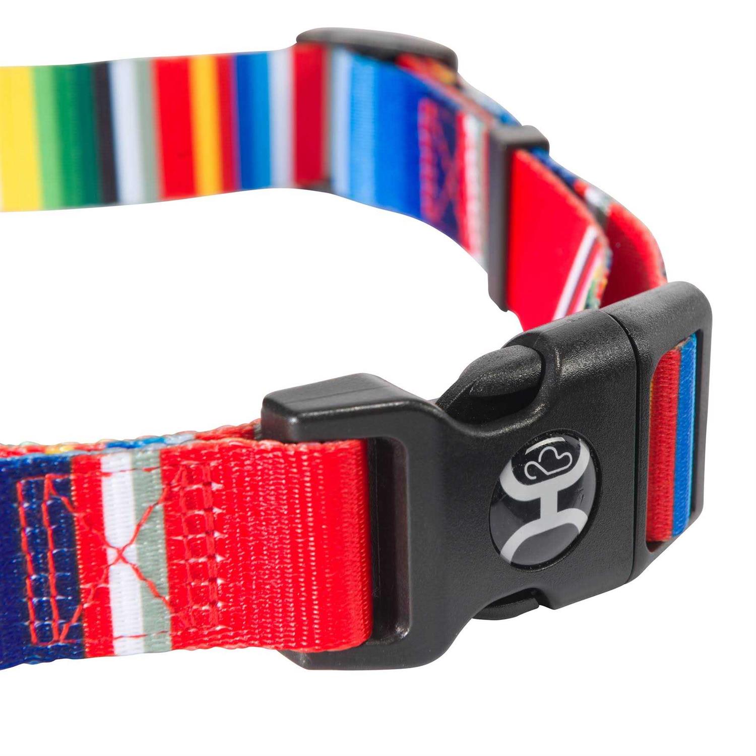 Hooey Nomad Dog Collar