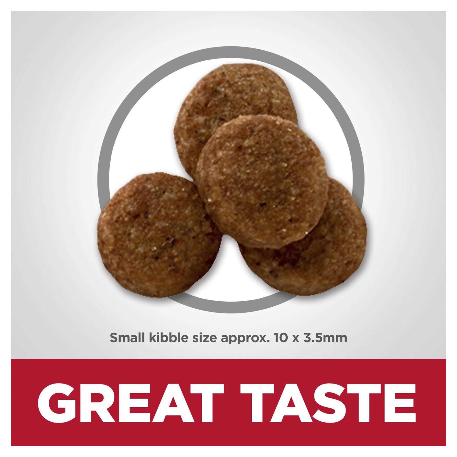 Hill’s Science Diet Adult Sensitive Stomach & Skin Chicken Dry Dog Food