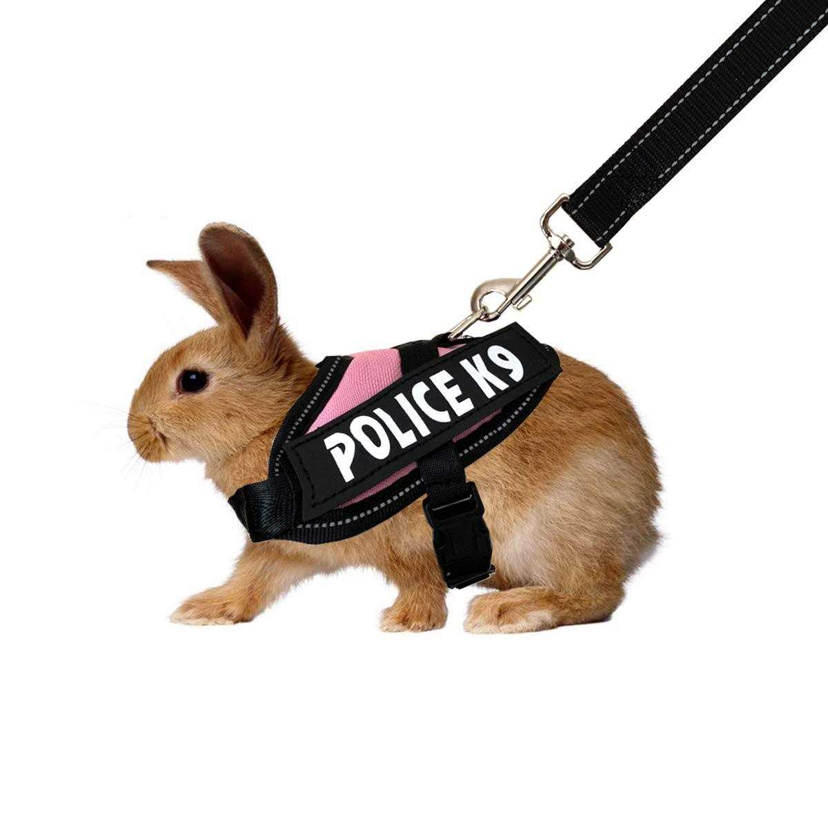 Vehomy Rabbit Harness with Leash for Bunny Rabbits Cats