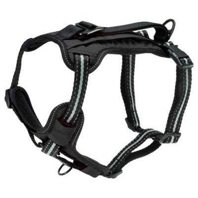 PetSafe 3 in 1 Harness with Two Point Control Leash