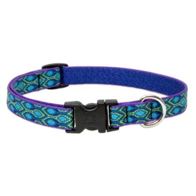 Original Designs Dog Collar