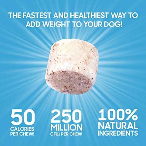 Bully Max Power Chews for Weight Gain