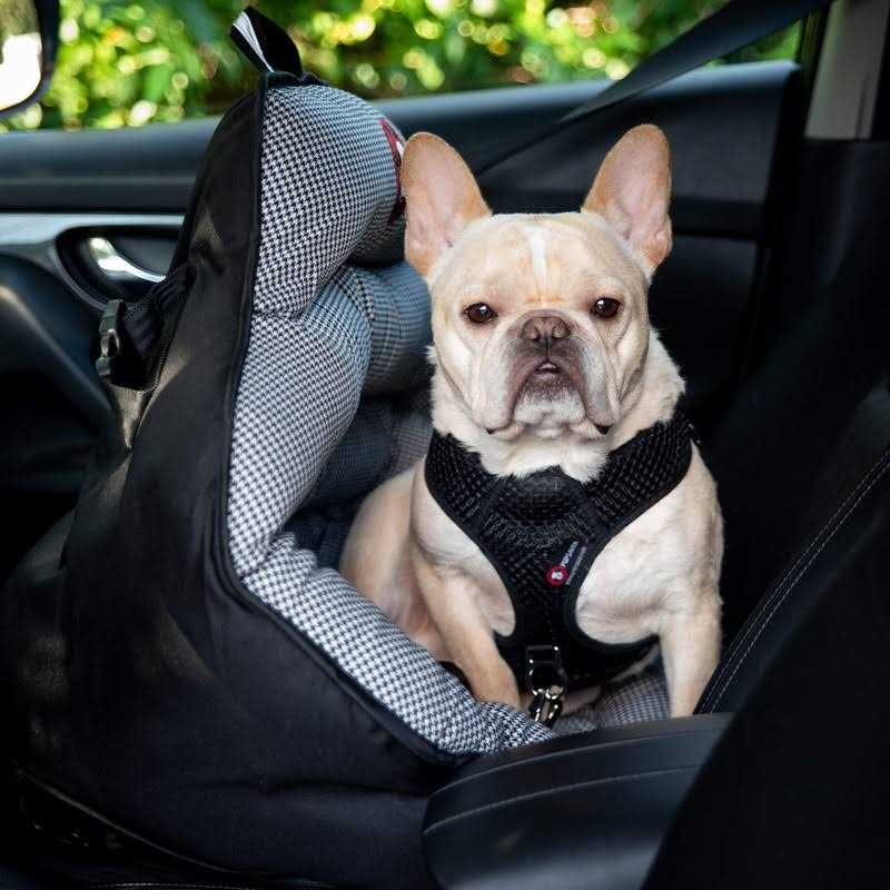 PupSaver Dog Car Seats for Small and Medium Dogs Travel Booster Pet Seat |Crash-Tested Dog Bed for Cars
