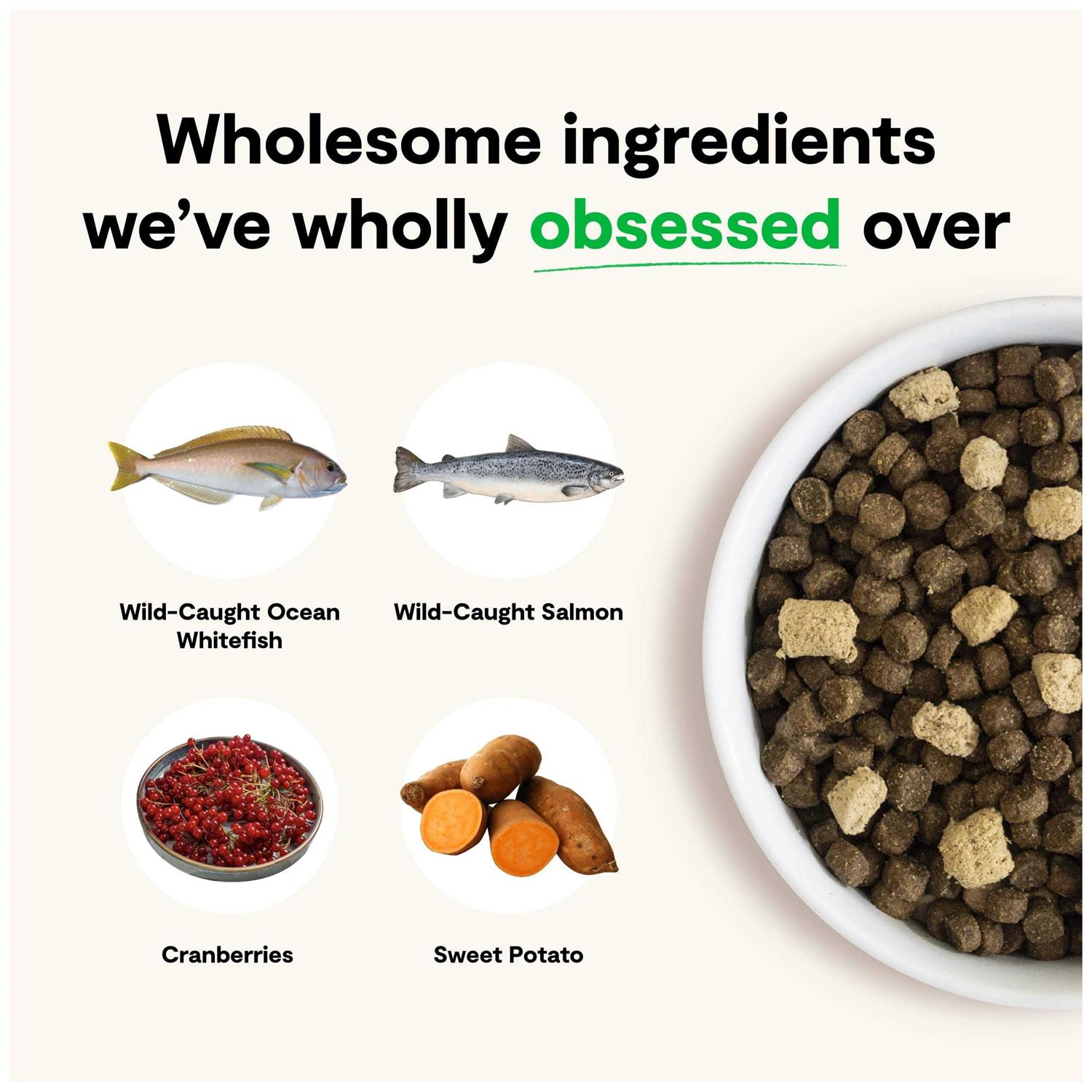 Open Farm RawMix Wild Ocean Grain-Free Dog Food