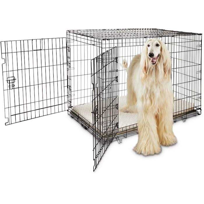 EveryYay Going Places 2-Door Folding Dog Crate