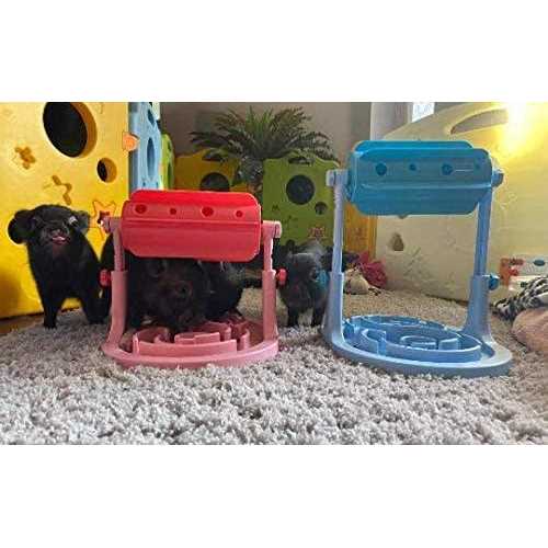 Piggy Poo and Crew Adjustable Height Slow Feeder Game
