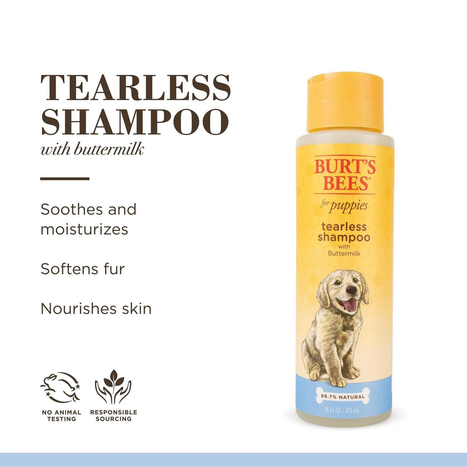 Burt’s Bees Tearless Shampoo with Buttermilk