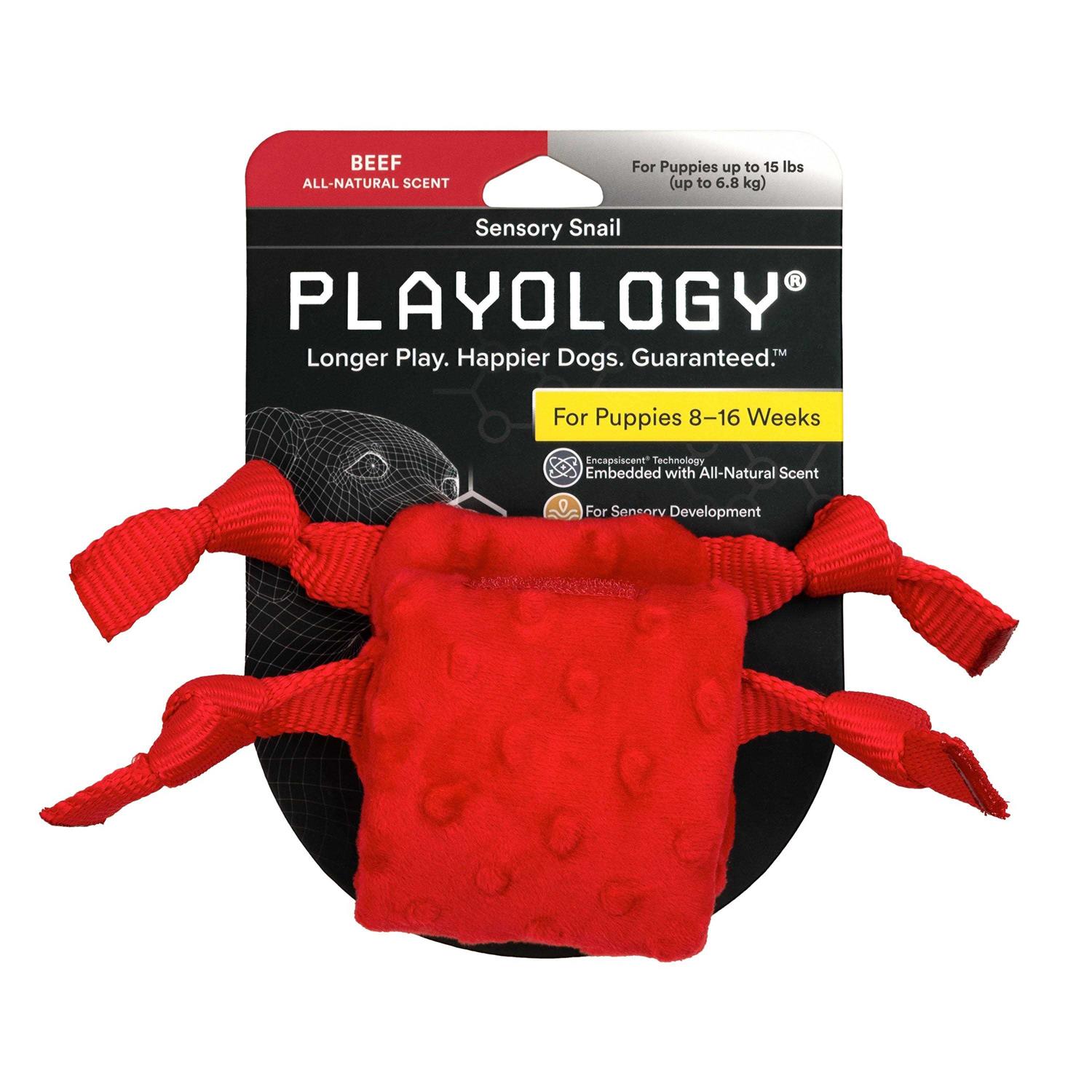 Playology Puppy Sensory Snail Dog Toy