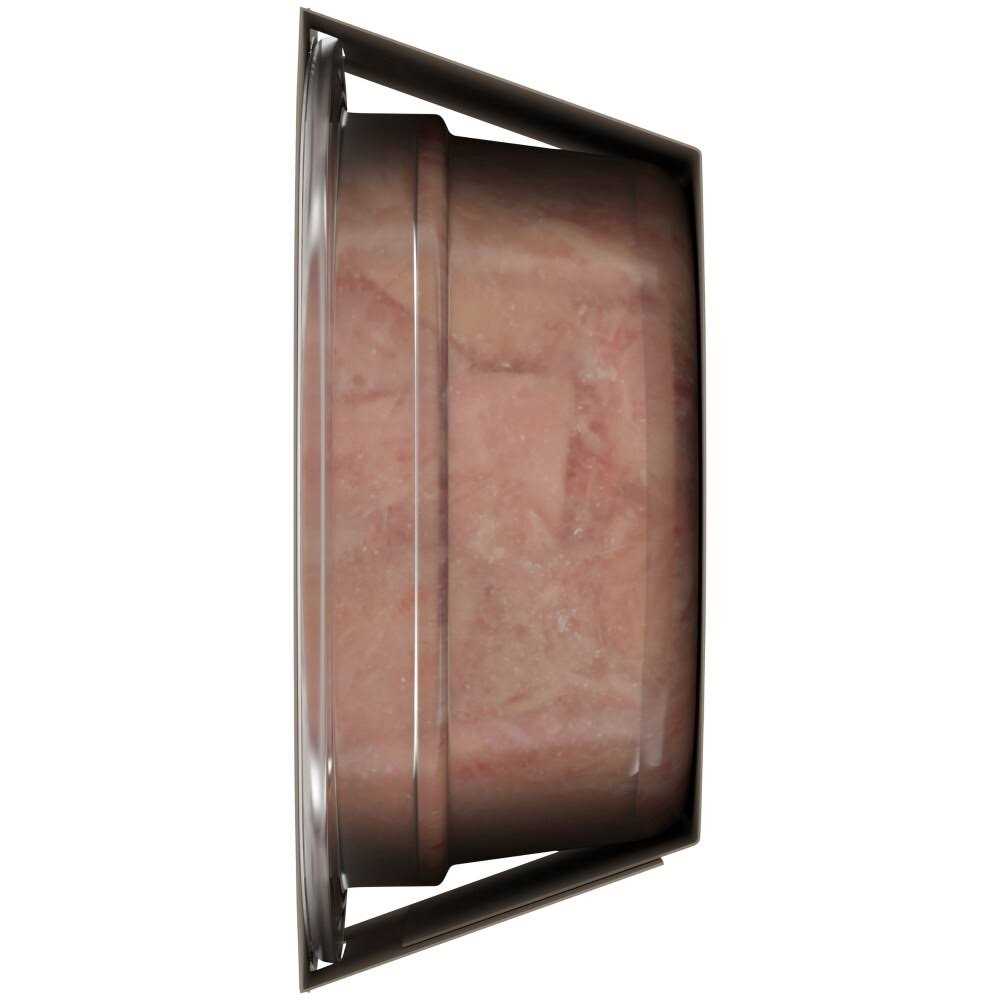 Purina Fancy Feast Purely Natural Tender Tongol Tuna Wet Cat Food