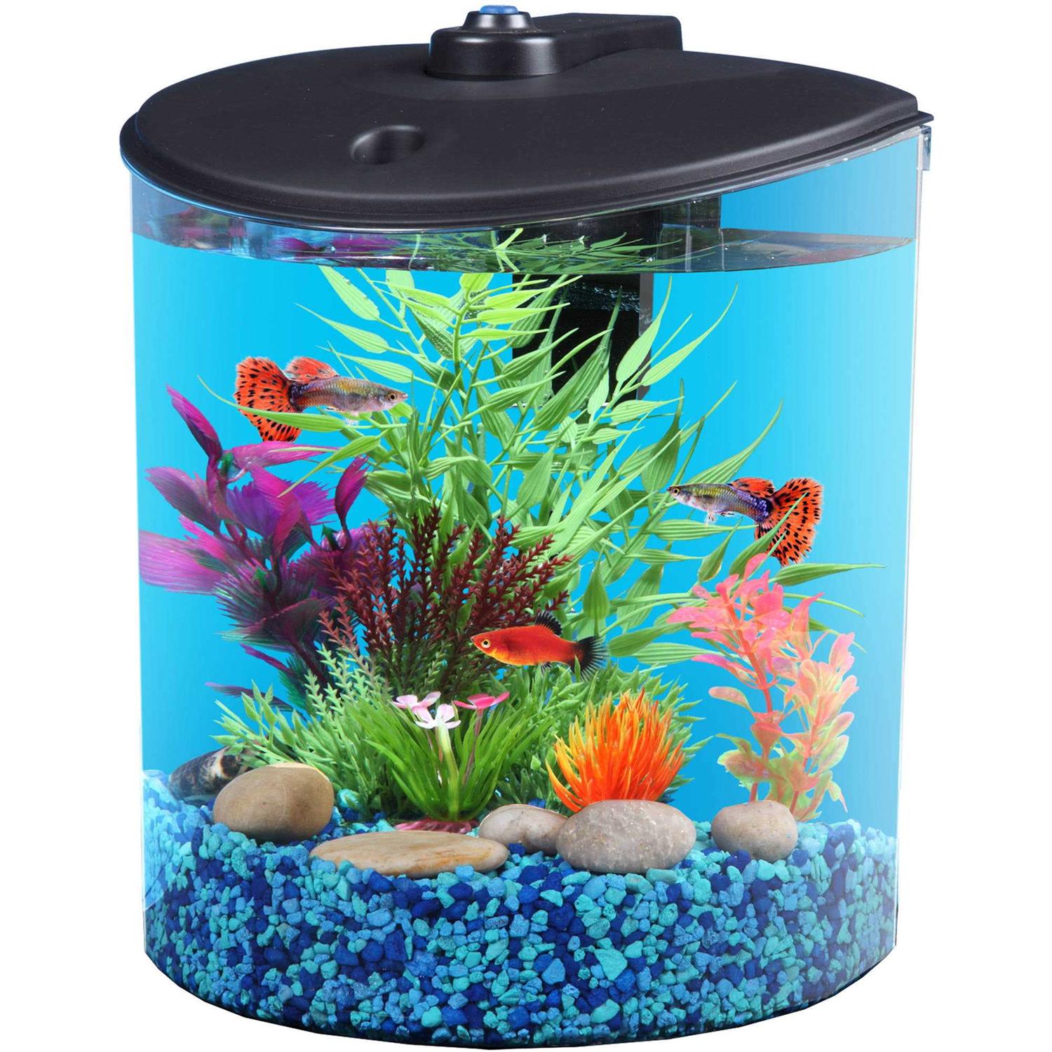 Koller Products AquaView 1.5-Gallon Fish Tank with LED Lighting and Power Filter