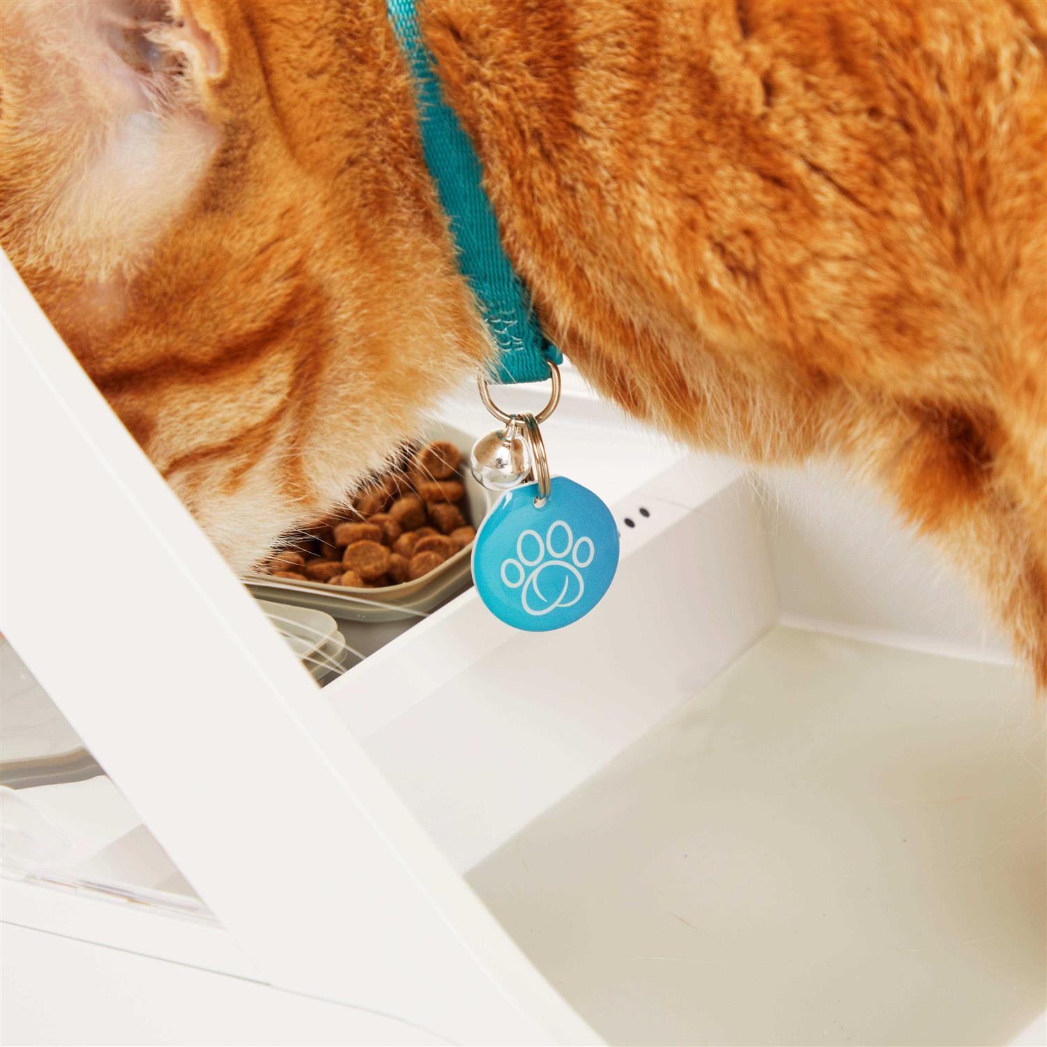 Sure Petcare SureFeed Microchip Pet Feeder Connect