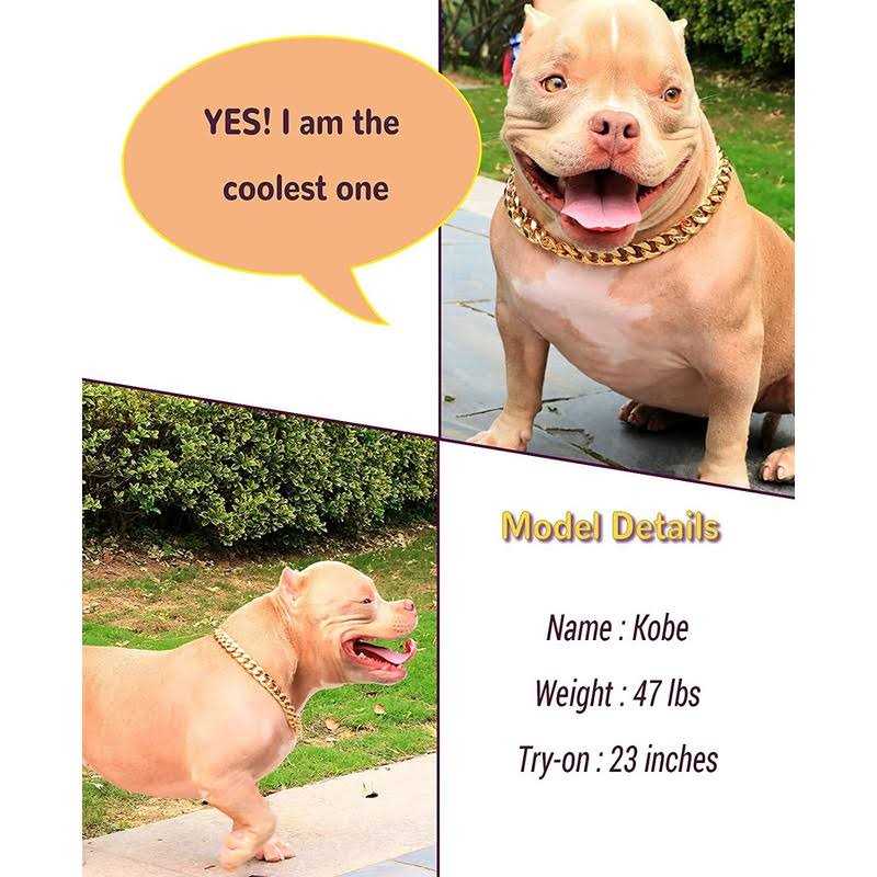 PP cOLOR gold chain Dog collar-34 Width cuban Link Dog Necklace