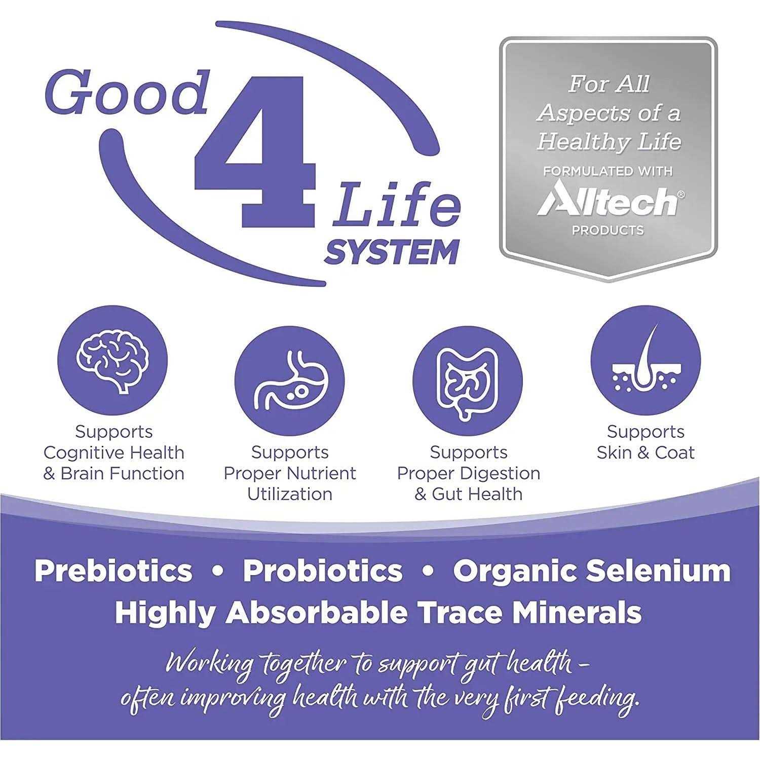 NutriSource Chicken Rice Small Medium-Breed Puppy Dry Dog Food