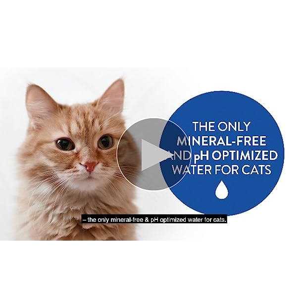 Catwater by Vetwater ph-Balanced and Mineral-Free Cat Water Clinically Proven Urinary Formula