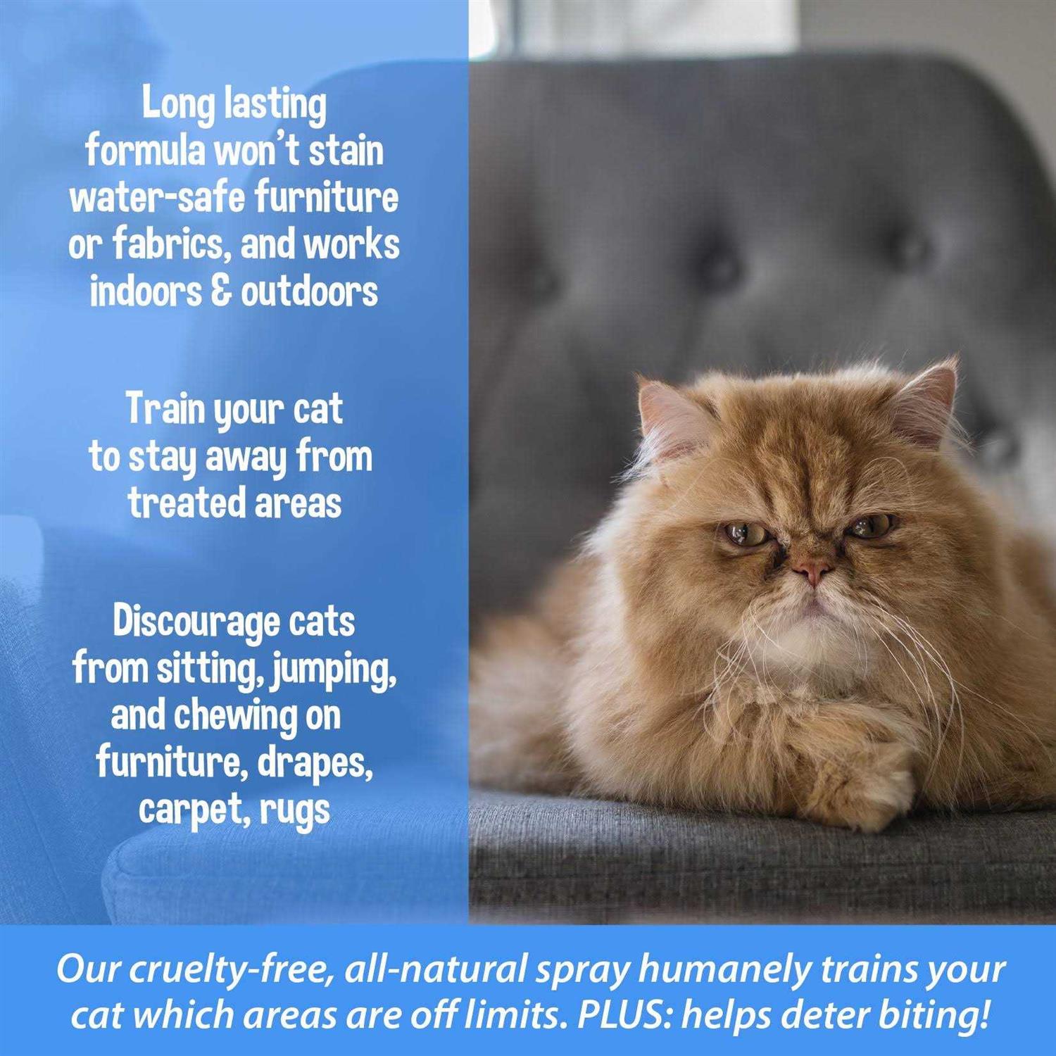 Bodhi Dog 3-in-1 Cat & Kitten Training Aid Cat Deterrent Spray for Indoor and Outdoor Use