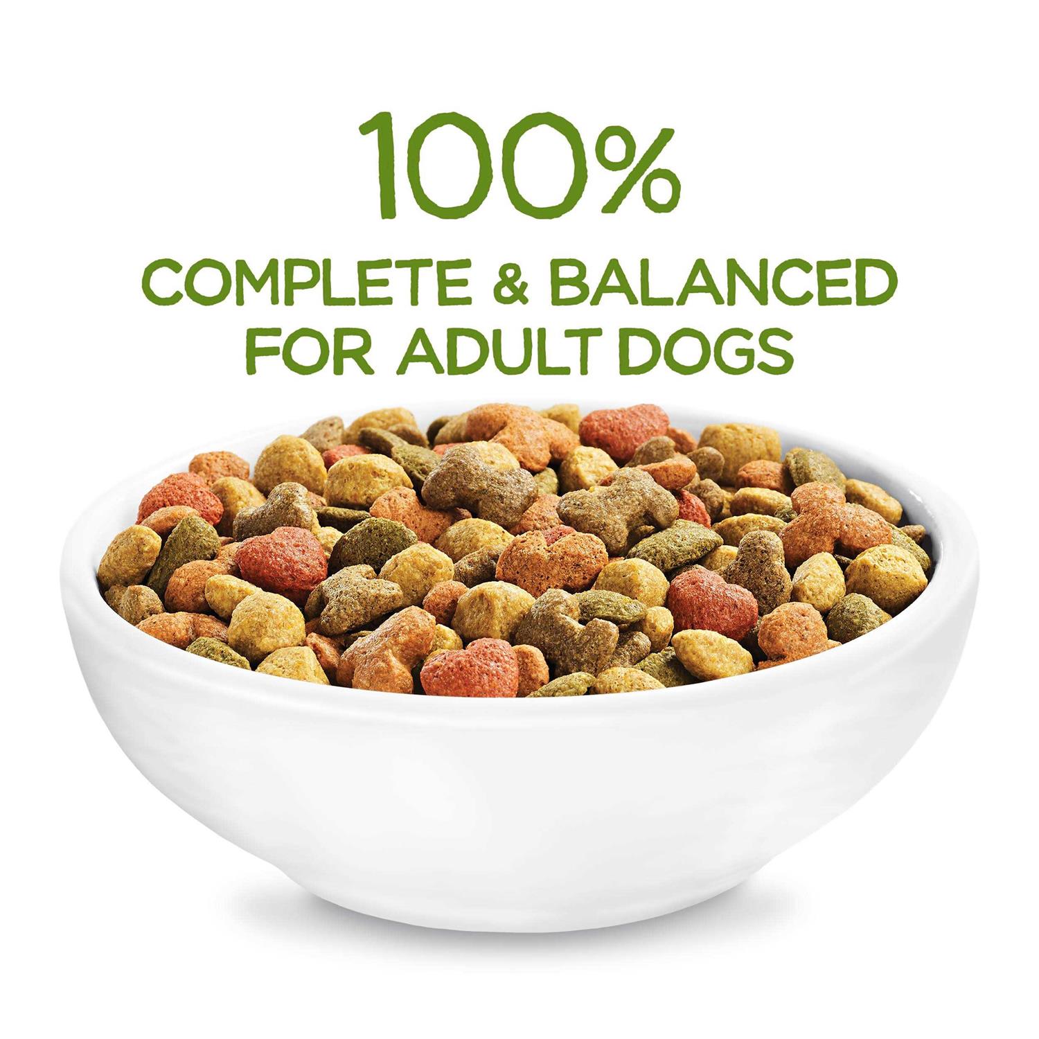 Purina Beneful Healthy Weight Dry Dog Food with Farm-Raised Chicken