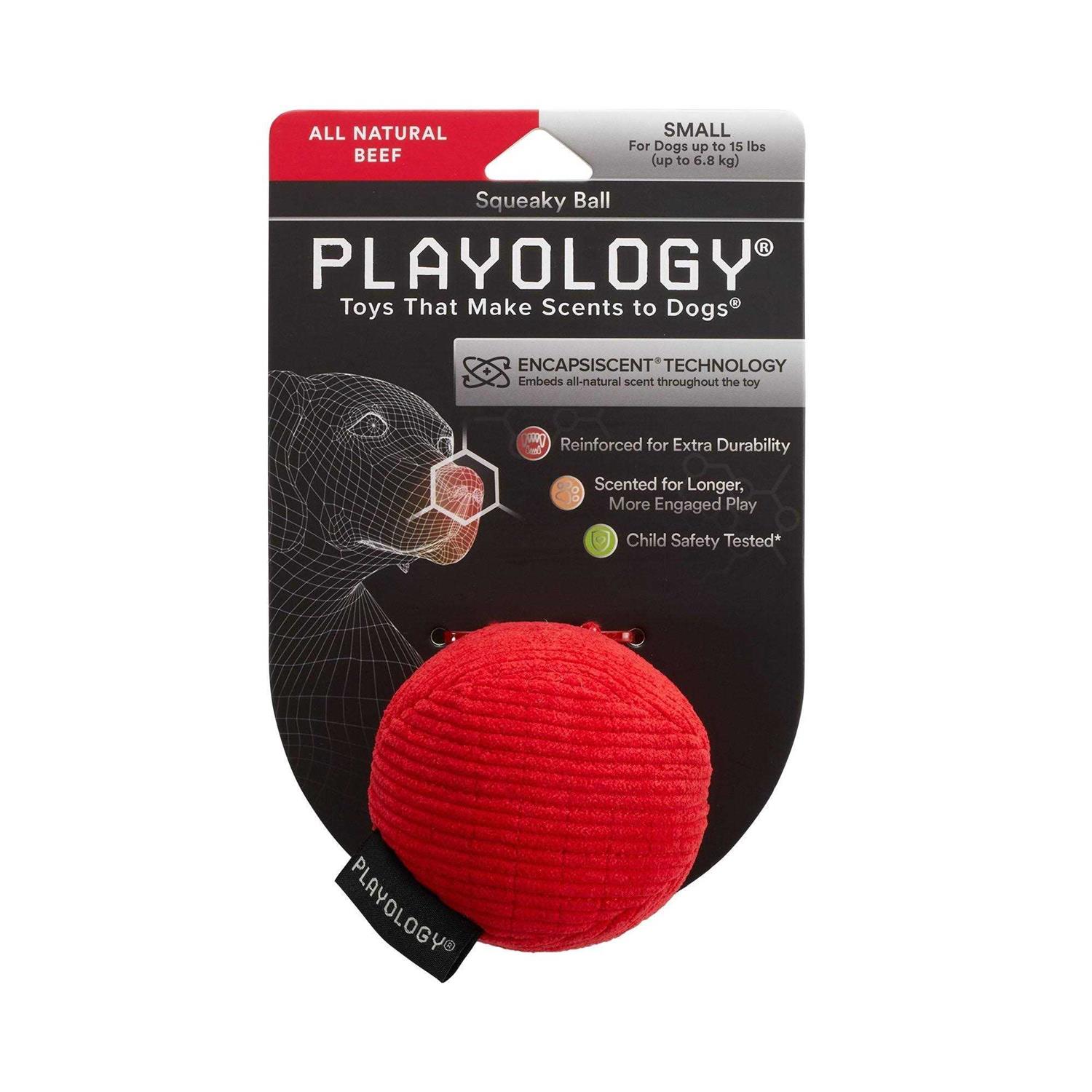 Playology Plush Ball Scented Dog Toy