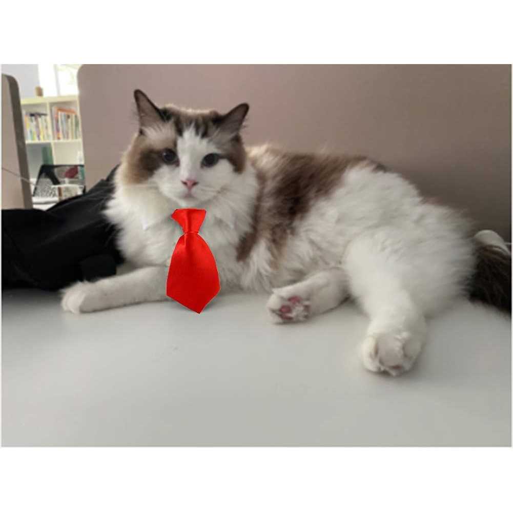 4 Pieces Pets Dog Cat Bowtie Pet Costume Adjustable Formal Necktie Collar for Cats Small Dogs Puppy Grooming Accessories