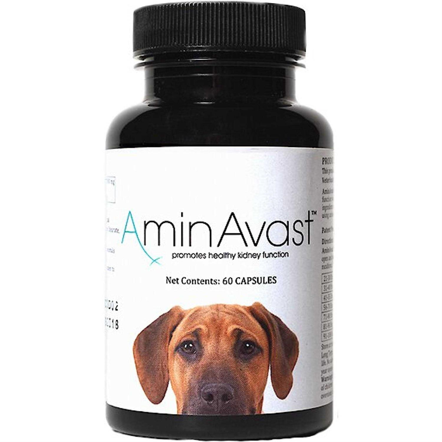 AminAvast Kidney Support for Dogs
