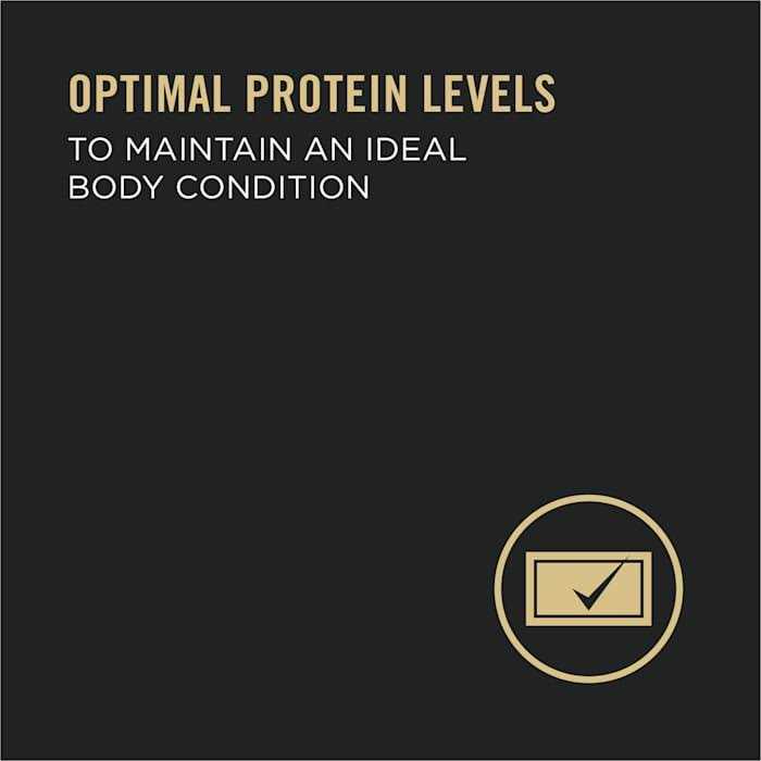 Purina Pro Plan High Protein Wet Dog Food