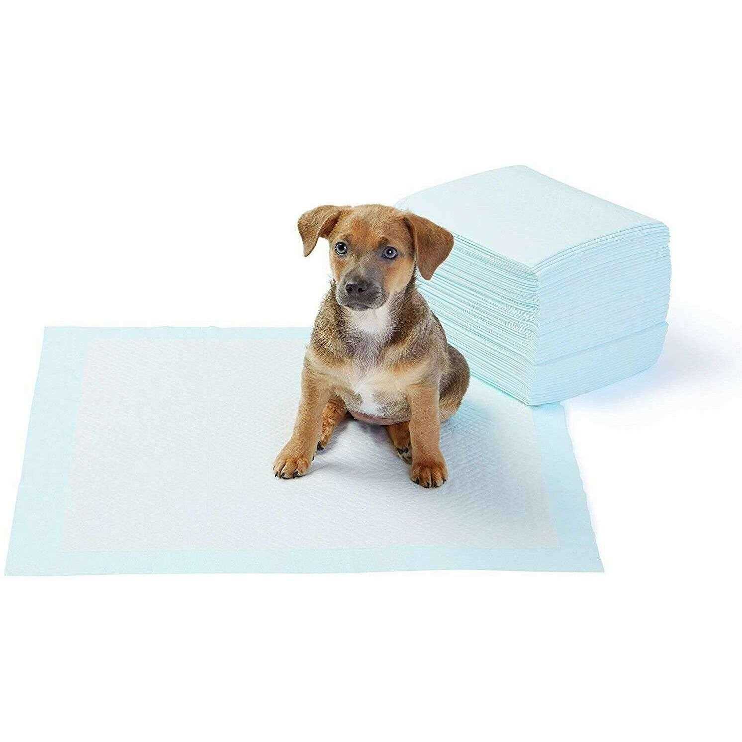 Amazon Basics Dog and Puppy Pee Pads with 5-layer Leak-proof Design and Quick-dry Surface for Potty Training