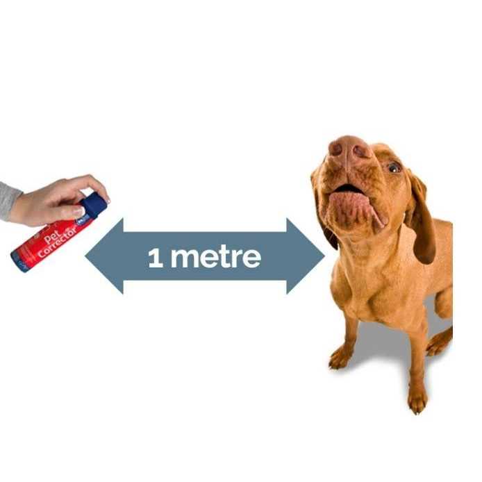 Pet Corrector Spray