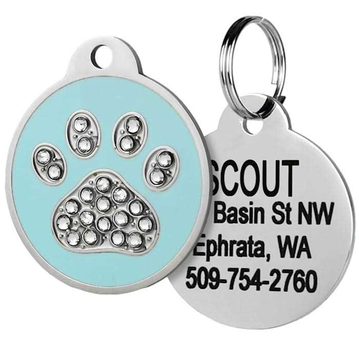 GoTags Stainless Steel Personalized Dog & Cat ID Tag