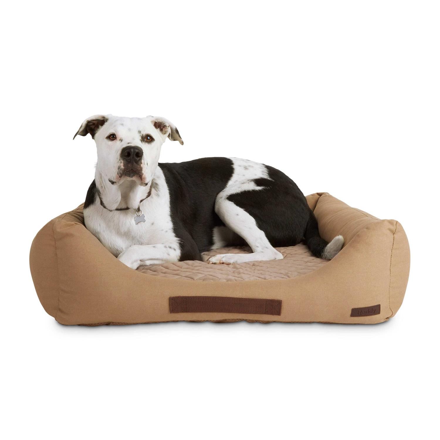 Reddy Seasonless Dog Bed