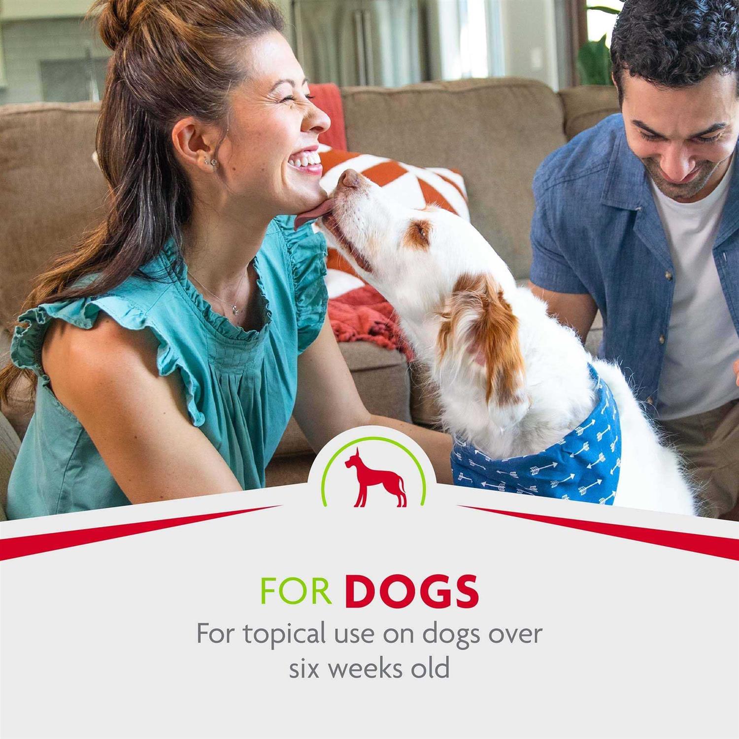 FURminator Rinse-Free deShedding Spray for Dogs