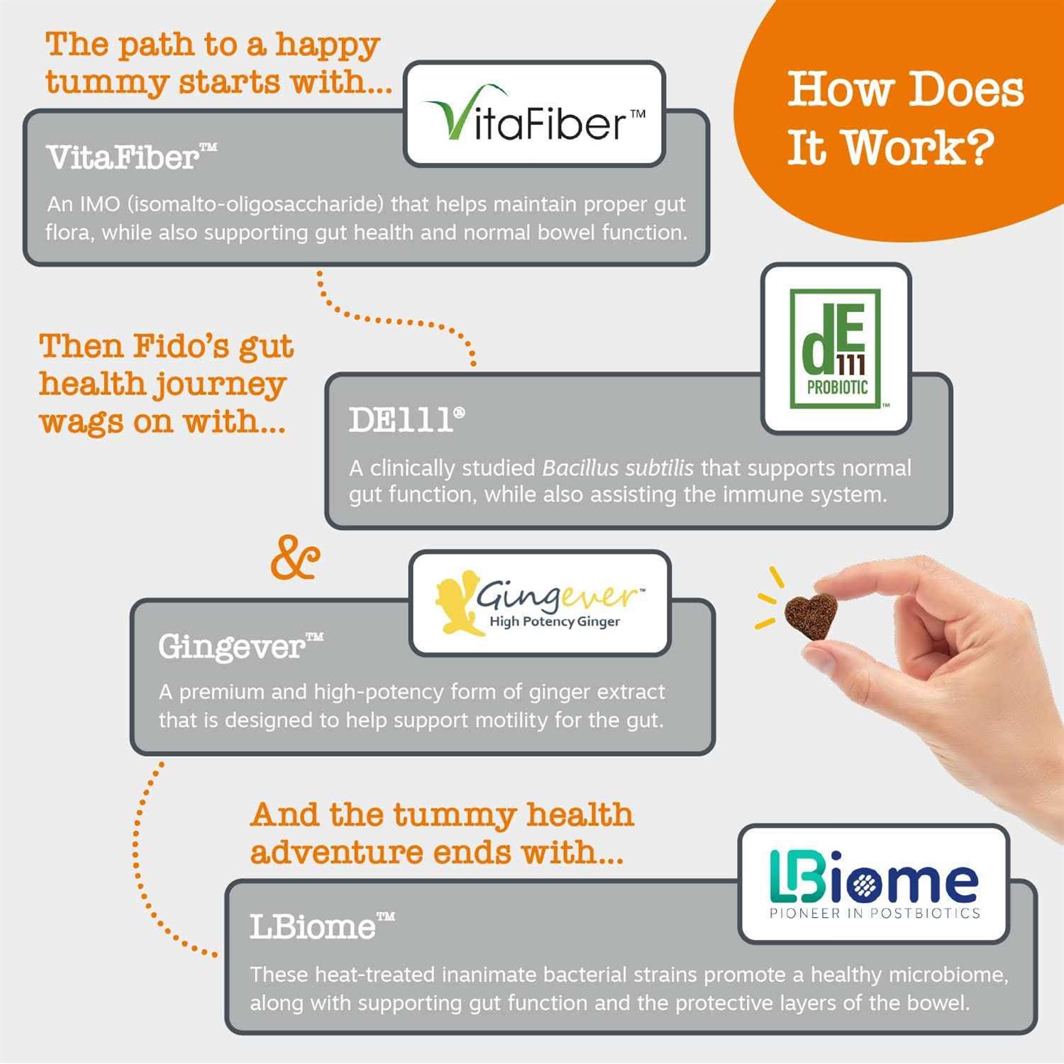 Zesty Paws Vet Strength Pre Post & Probiotic Gut Health Bites for Dogs