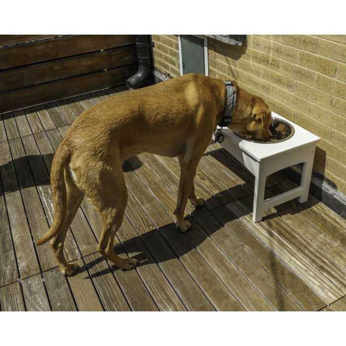 POLYWOOD Pet Feeder