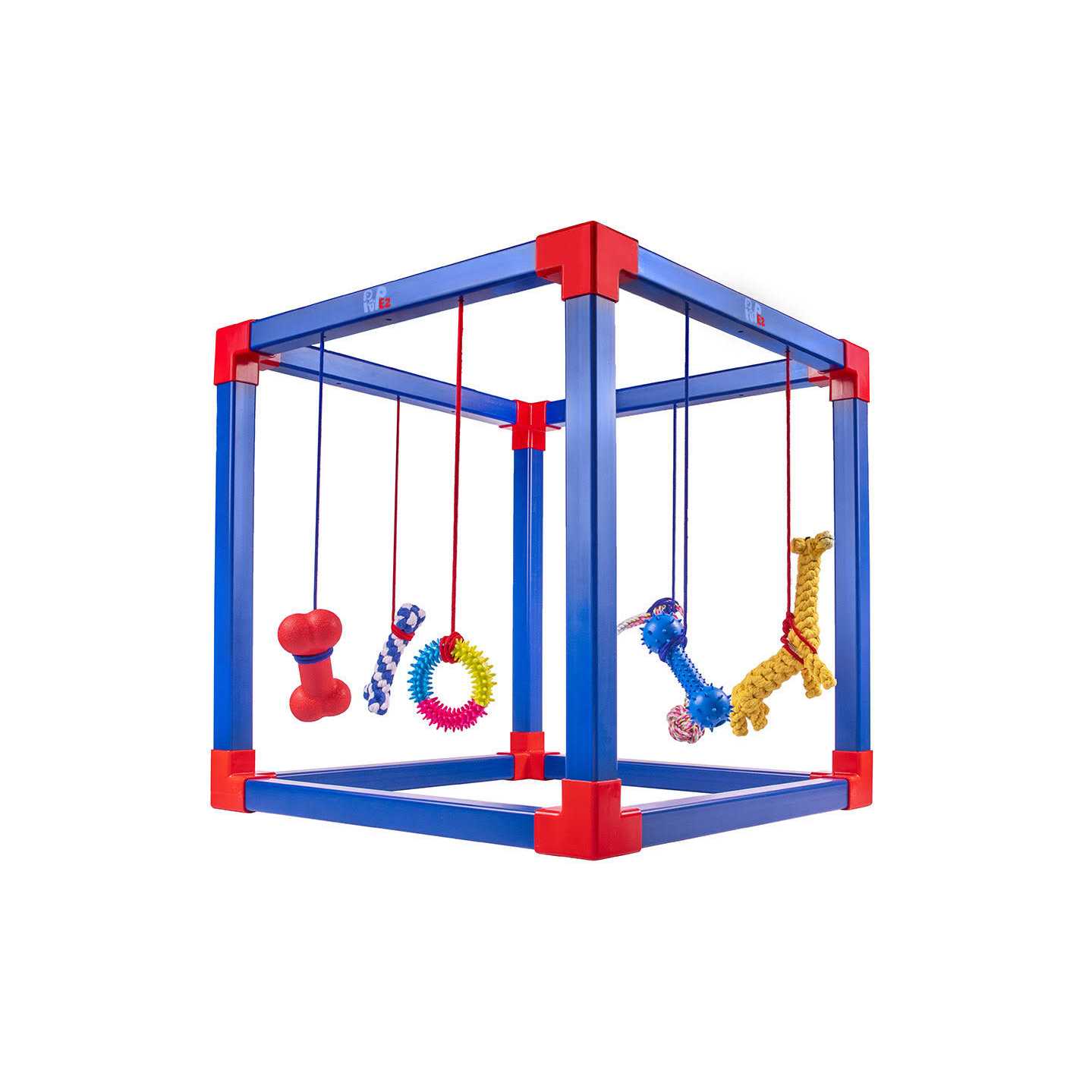 pupez.com Puppy Play Gym