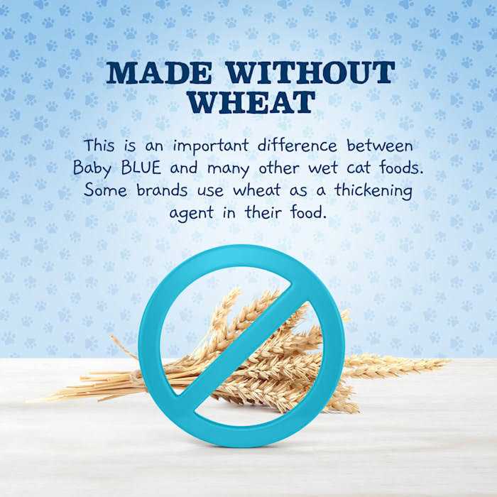 Blue Buffalo Baby Blue Wet Kitten Food Healthy Growth Formula Chicken