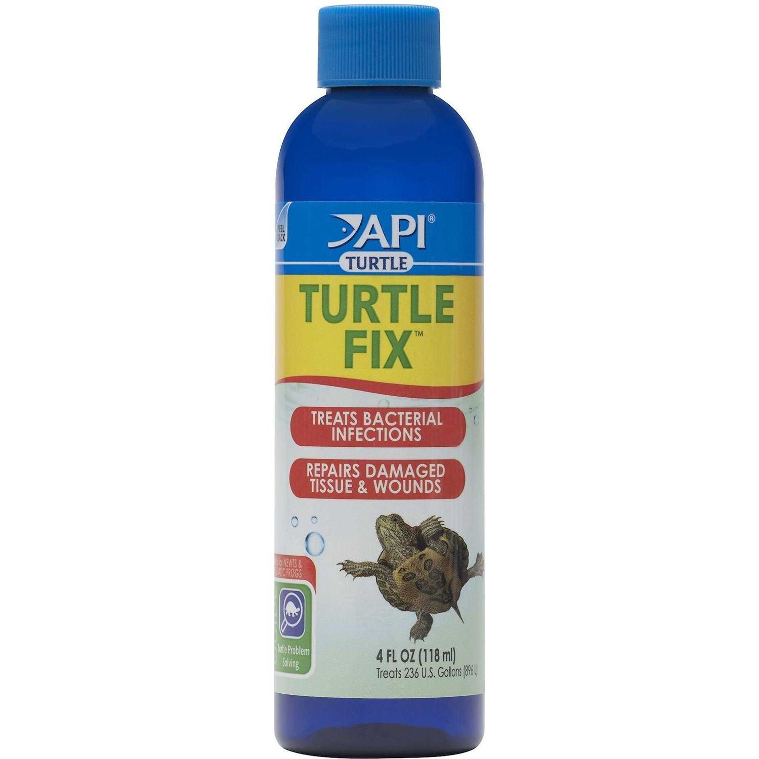 API Turtle Fix