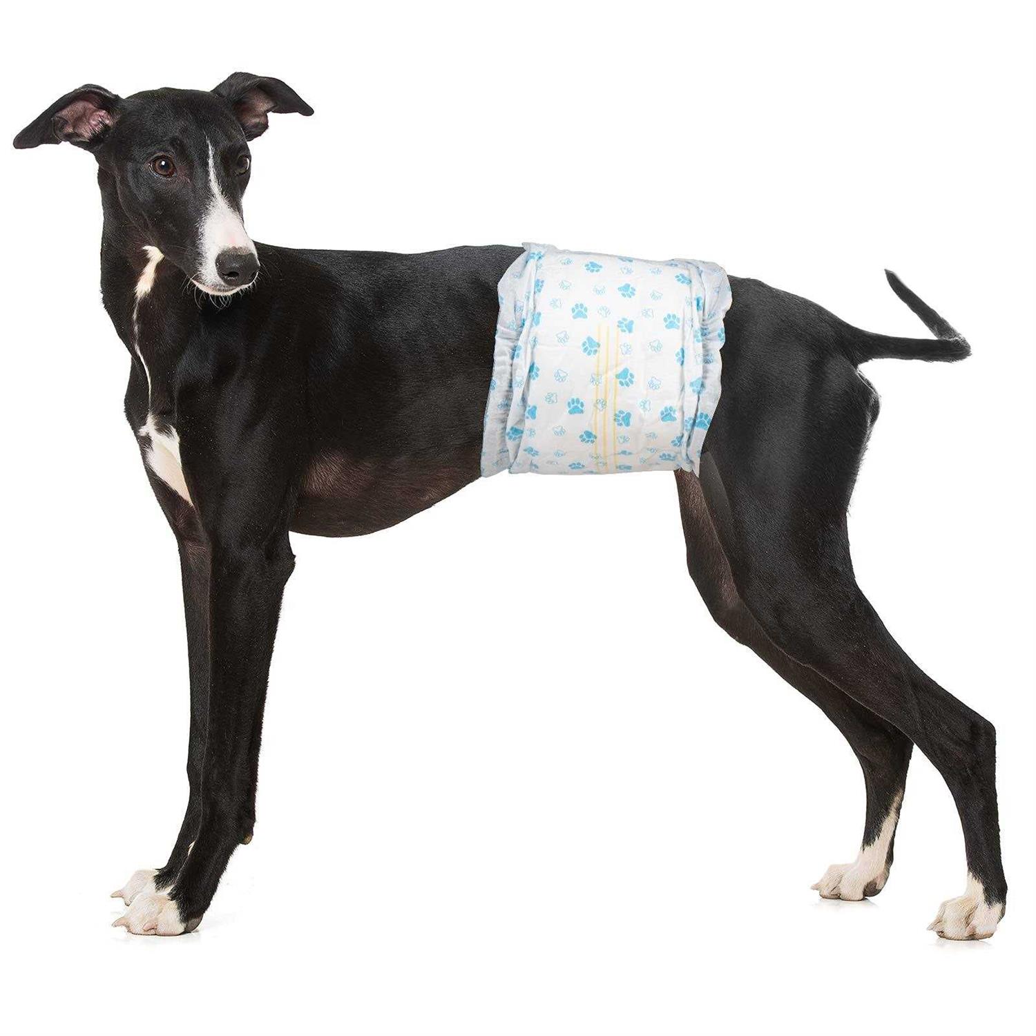 Pet Soft Disposable Male Dog Wraps Dog Diapers for Male Dogs