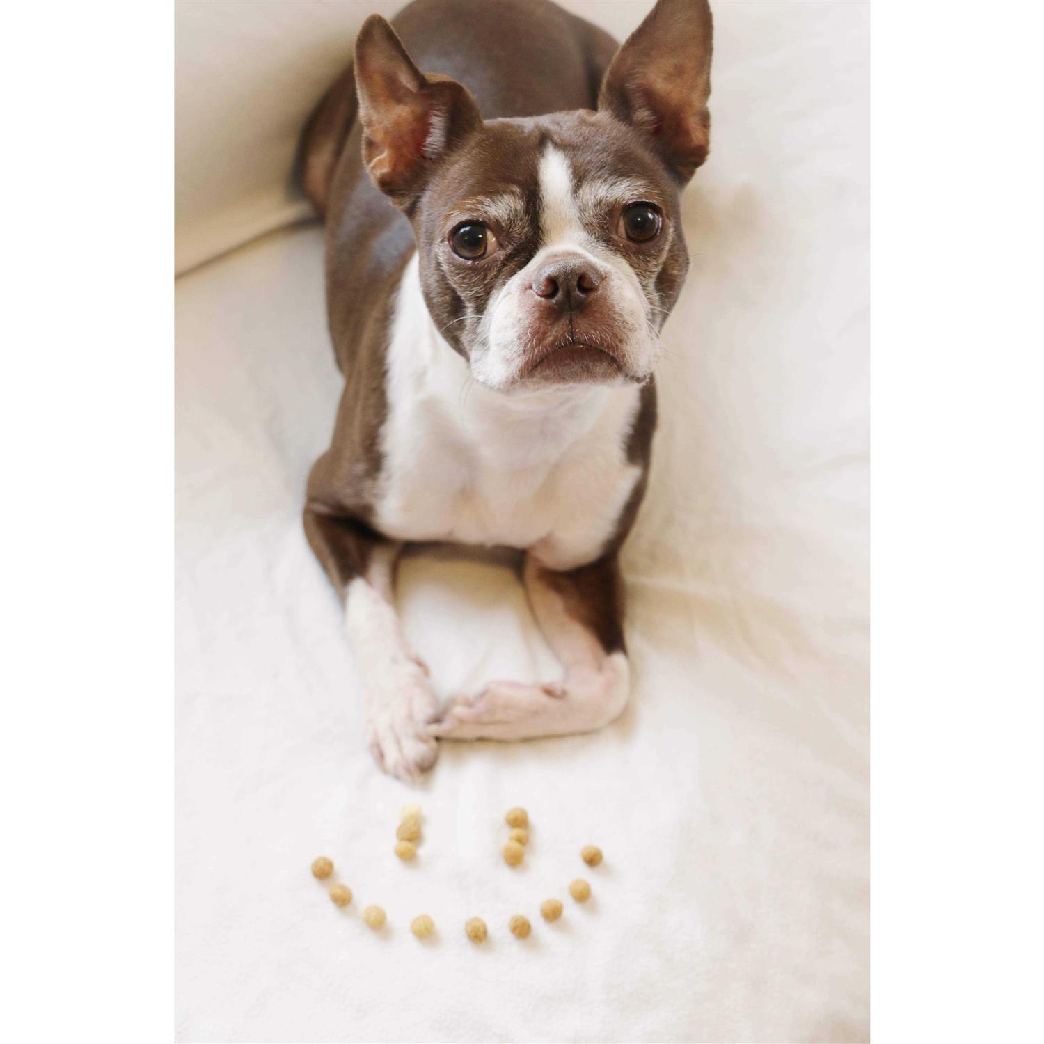 Redbarn Protein Puffs Dog Treats