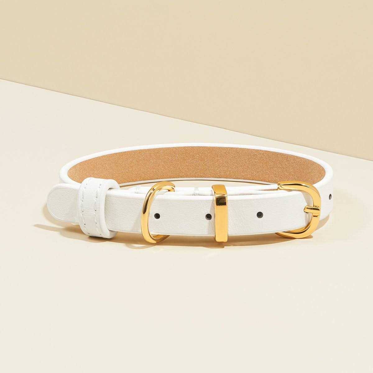 Scamper & Co Genuine Leather & Microfiber Bejeweled Circular Stud Dog Collar